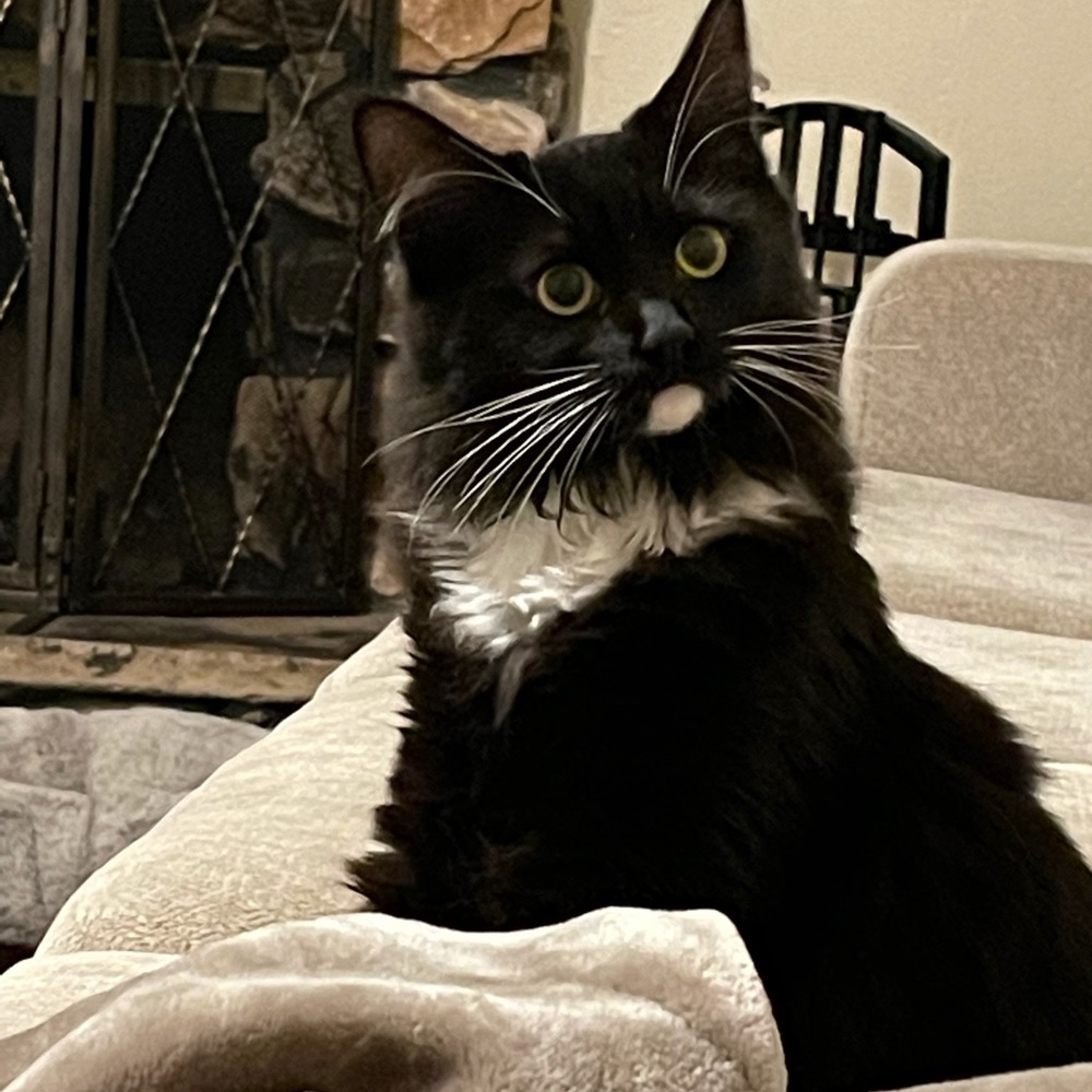 Meet your Posher, Doris